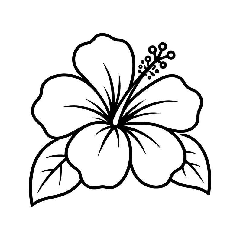 Flores naturales
